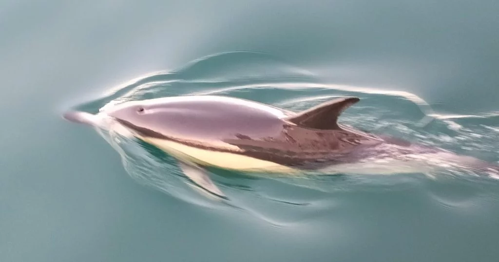 359412749_6519446908102855_165707913702403915_n-e1704975406650-1024x538