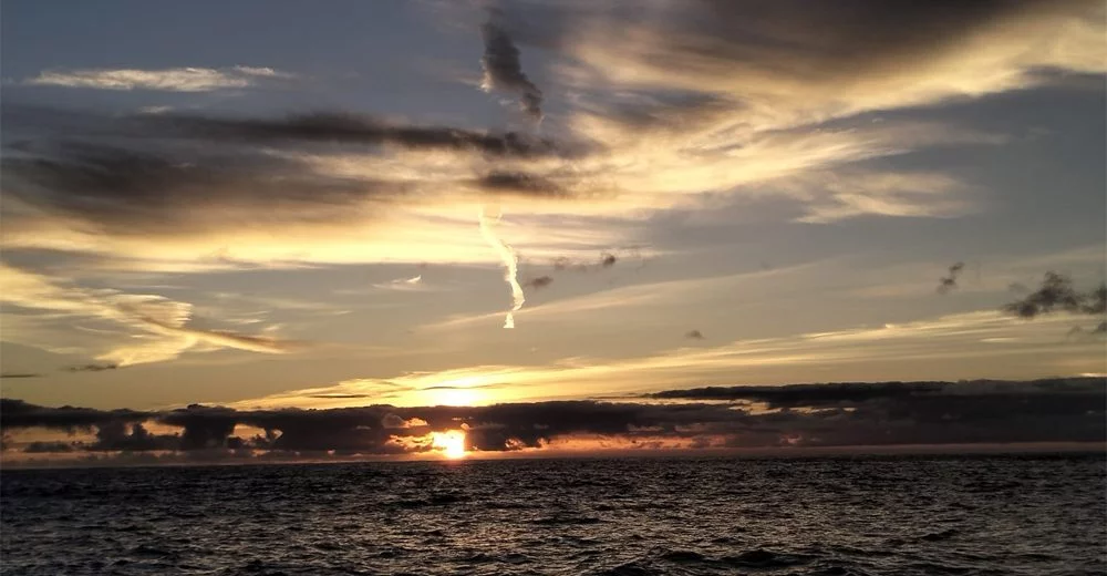 380690990_b-e1704971568732